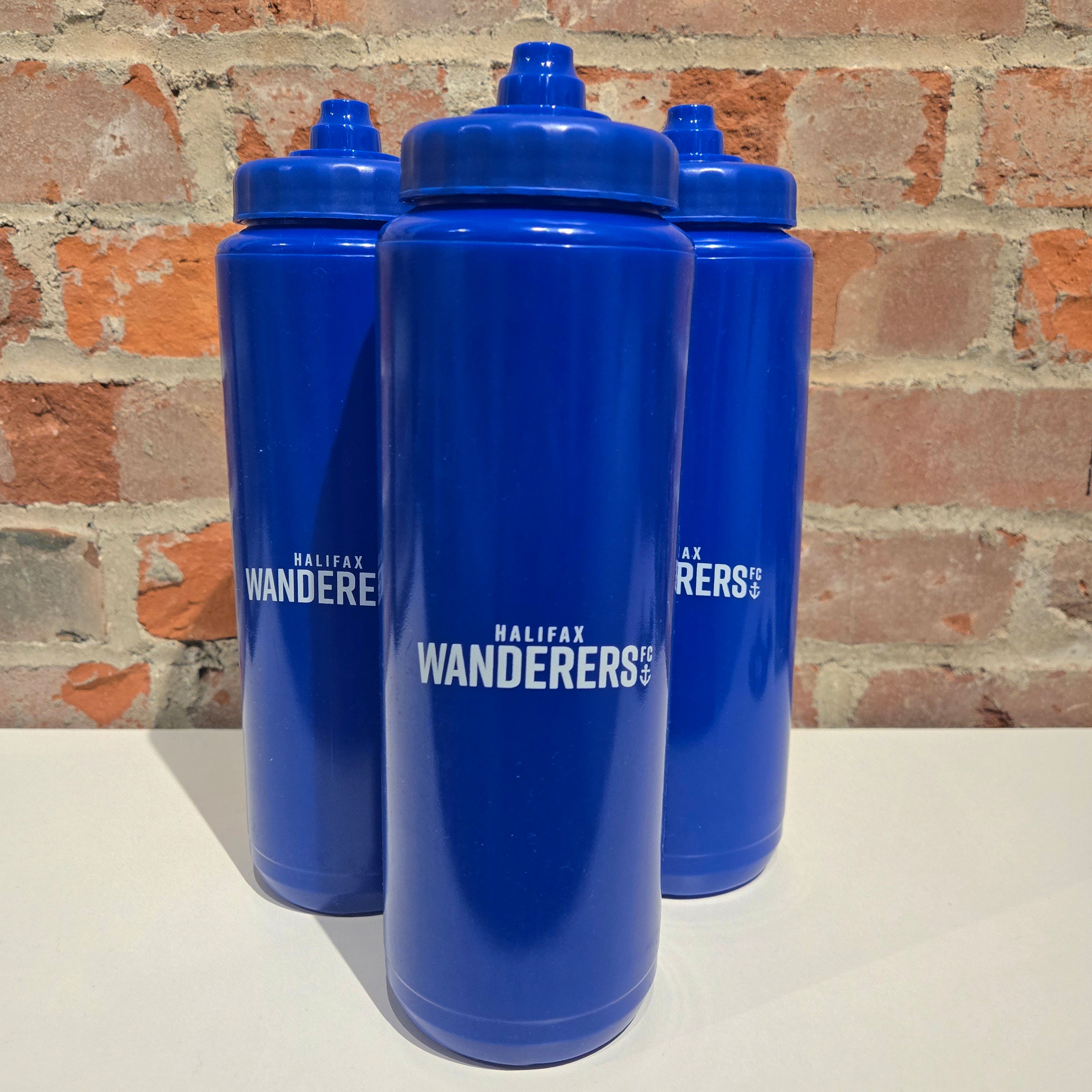 Water Bottle 33 FL OZ Blue