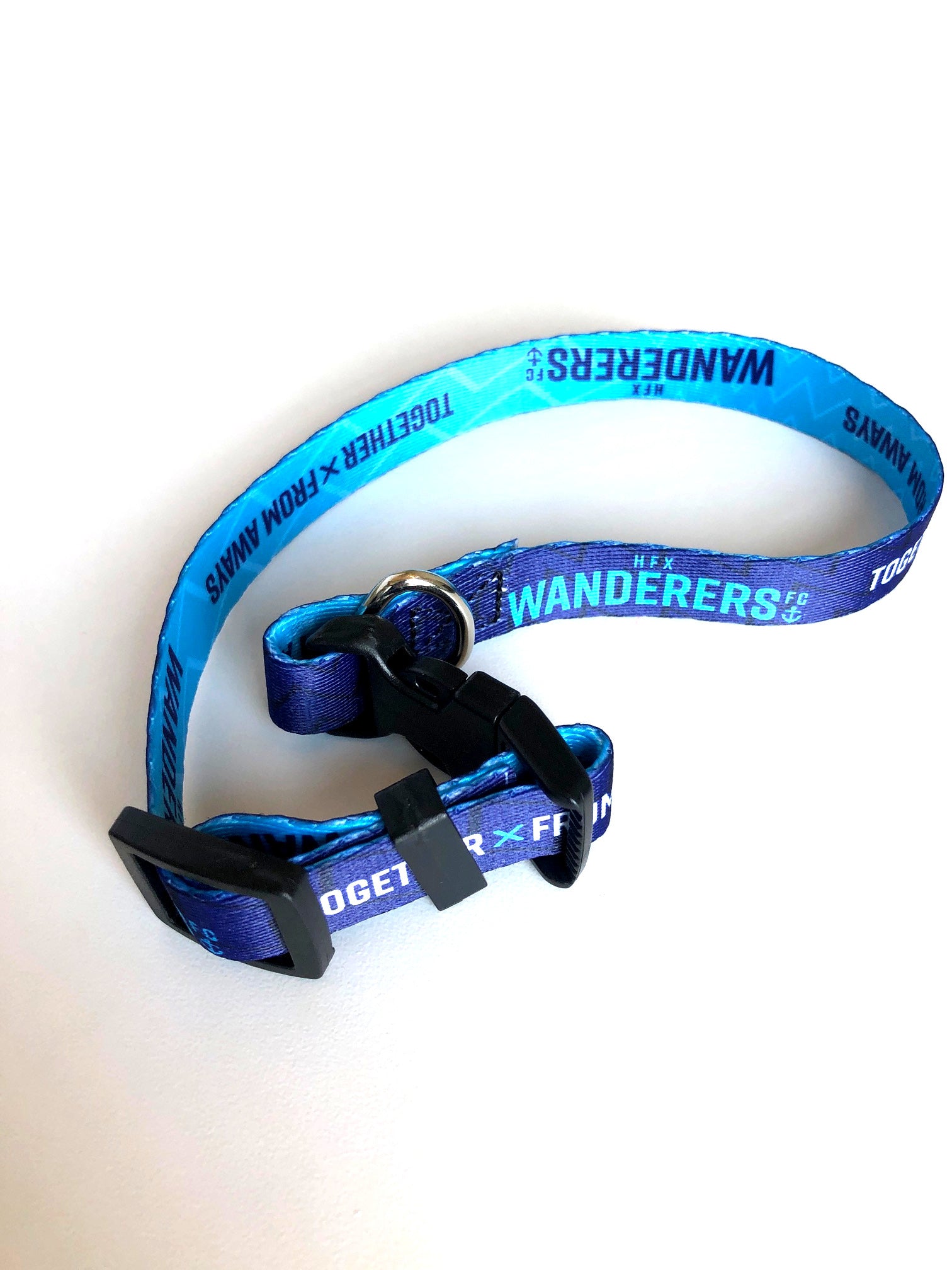 Pet Collar Blue/Aqua